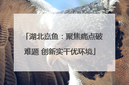 湖北嘉鱼：聚焦痛点破难题 创新实干优环境