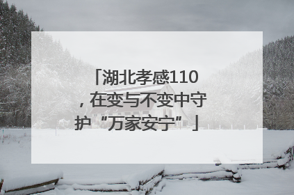 湖北孝感110，在变与不变中守护“万家安宁”