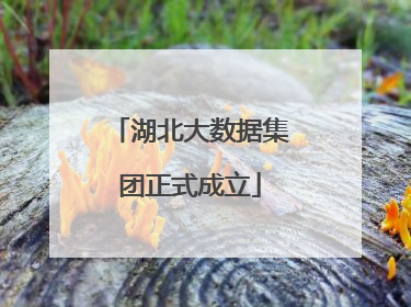 湖北大数据集团正式成立