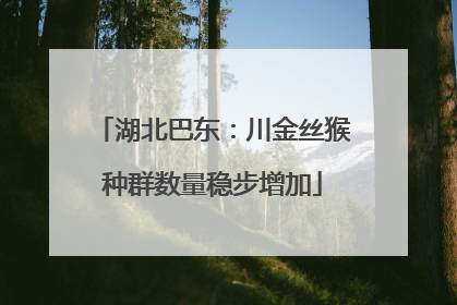 湖北巴东：川金丝猴种群数量稳步增加