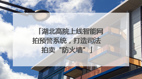 湖北高院上线智能网拍预警系统，打造司法拍卖“防火墙”