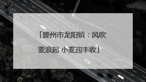 滕州市龙阳镇：风吹麦浪起 小麦迎丰收