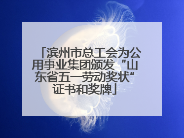 滨州市总工会为公用事业集团颁发“山东省五一劳动奖状”证书和奖牌