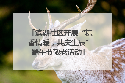 滨湖社区开展“粽香情暖，共庆生辰”端午节敬老活动