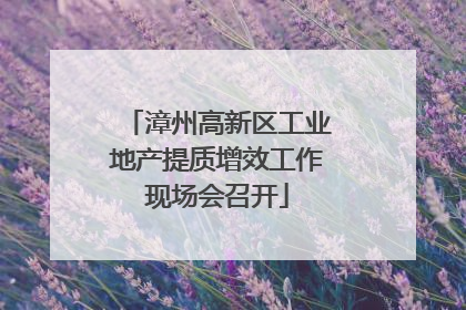 漳州高新区工业地产提质增效工作现场会召开