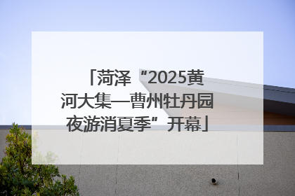 菏泽“2025黄河大集—曹州牡丹园夜游消夏季”开幕