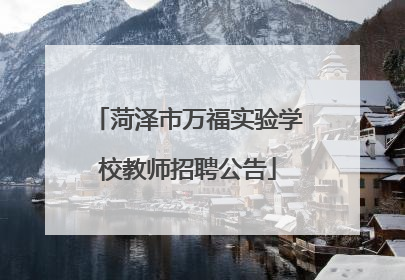 菏泽市万福实验学校教师招聘公告