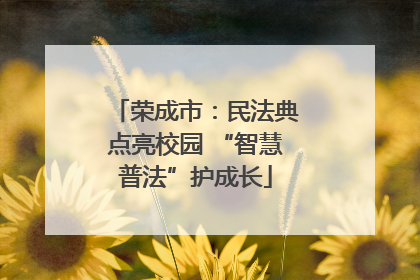 荣成市：民法典点亮校园 “智慧普法”护成长