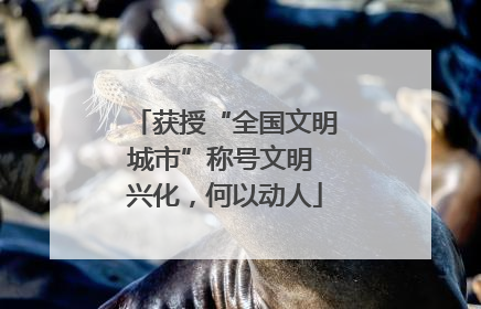 获授“全国文明城市”称号文明 兴化，何以动人