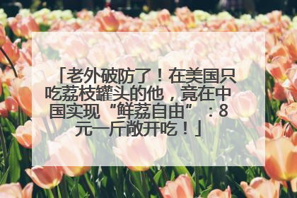 老外破防了！在美国只吃荔枝罐头的他，竟在中国实现“鲜荔自由”：8元一斤敞开吃！