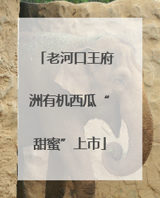 老河口王府洲有机西瓜“甜蜜”上市