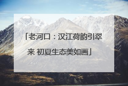 老河口：汉江荷韵引翠来 初夏生态美如画