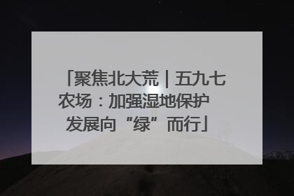 聚焦北大荒｜五九七农场：加强湿地保护 发展向“绿”而行