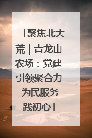 聚焦北大荒｜青龙山农场：党建引领聚合力 为民服务践初心