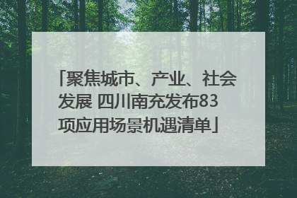 聚焦城市、产业、社会发展 四川南充发布83项应用场景机遇清单