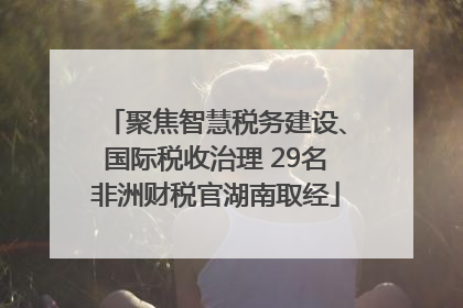 聚焦智慧税务建设、国际税收治理 29名非洲财税官湖南取经