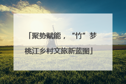 聚势赋能，“竹”梦桃江乡村文旅新蓝图