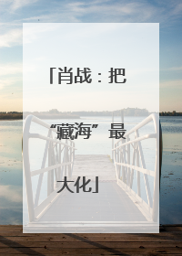 肖战：把“藏海”最大化