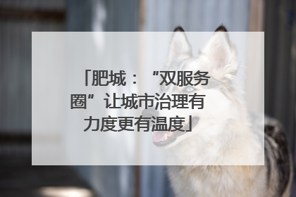 肥城：“双服务圈”让城市治理有力度更有温度