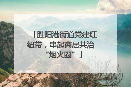 胜阳港街道党建红纽带，串起商居共治 “烟火圈”