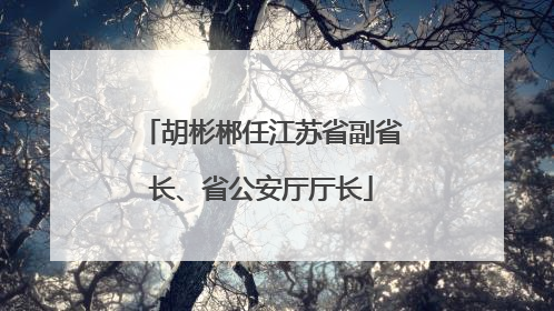 胡彬郴任江苏省副省长、省公安厅厅长