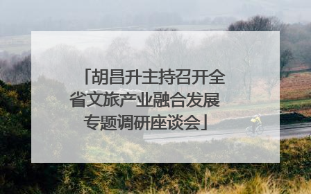胡昌升主持召开全省文旅产业融合发展专题调研座谈会