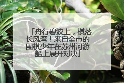舟行碧波上，棋落长风湾！来自全市的围棋少年在苏州河游船上展开对决