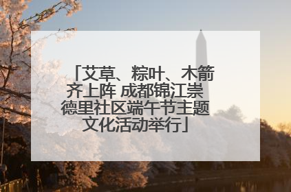 艾草、粽叶、木箭齐上阵 成都锦江崇德里社区端午节主题文化活动举行