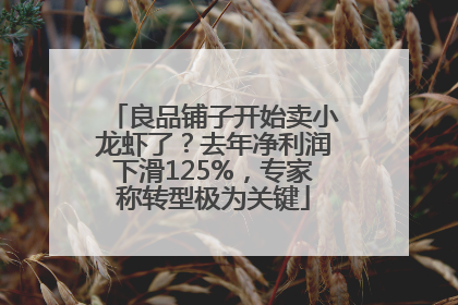 良品铺子开始卖小龙虾了？去年净利润下滑125%，专家称转型极为关键