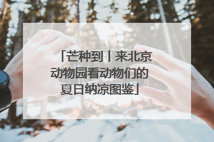 芒种到丨来北京动物园看动物们的夏日纳凉图鉴