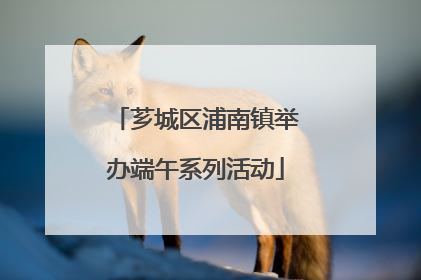 芗城区浦南镇举办端午系列活动