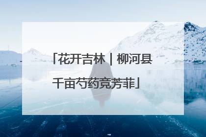 花开吉林｜柳河县千亩芍药竞芳菲