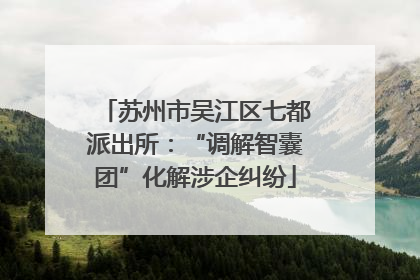 苏州市吴江区七都派出所：“调解智囊团”化解涉企纠纷