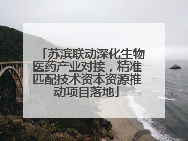 苏滨联动深化生物医药产业对接，精准匹配技术资本资源推动项目落地