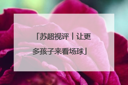 苏超视评︱让更多孩子来看场球
