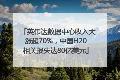 英伟达数据中心收入大涨超70%，中国H20相关损失达80亿美元