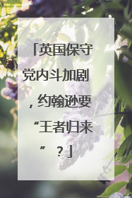 英国保守党内斗加剧，约翰逊要“王者归来”？