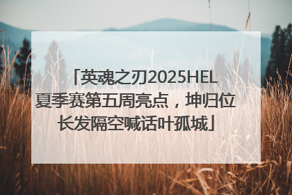 英魂之刃2025HEL夏季赛第五周亮点，坤归位长发隔空喊话叶孤城