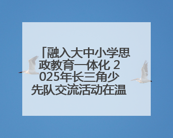 融入大中小学思政教育一体化 2025年长三角少先队交流活动在温岭举办