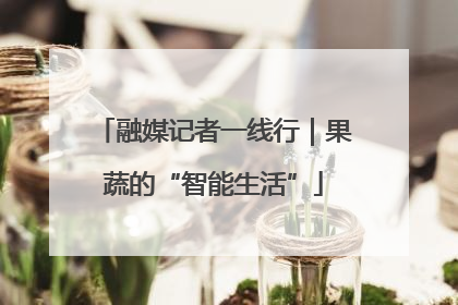 融媒记者一线行｜果蔬的“智能生活”
