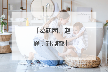 葛建团、赵峰，升副部