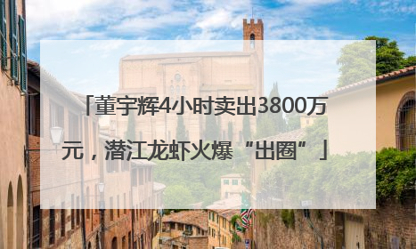 董宇辉4小时卖出3800万元，潜江龙虾火爆“出圈”