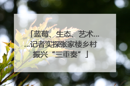 蓝莓、生态、艺术……记者实探张家楼乡村振兴“三重奏”