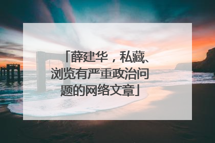 薛建华，私藏、浏览有严重政治问题的网络文章