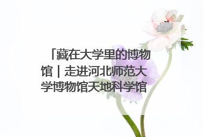 藏在大学里的博物馆｜走进河北师范大学博物馆天地科学馆：在校园里赴一场“宇宙之约”