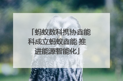 蚂蚁数科携协鑫能科成立蚂蚁鑫能 推进能源智能化
