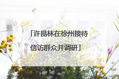 许昆林在徐州接待信访群众并调研