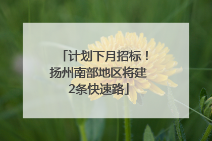 计划下月招标！扬州南部地区将建2条快速路