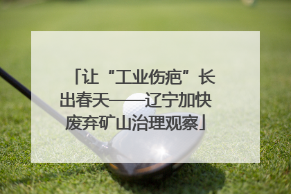 让“工业伤疤”长出春天——辽宁加快废弃矿山治理观察