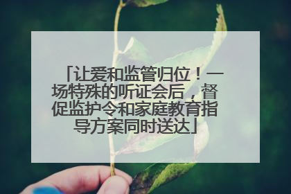 让爱和监管归位！一场特殊的听证会后，督促监护令和家庭教育指导方案同时送达